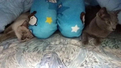 [라온이의 15번째 생일! 15년 압축 돌아보기]_42.webp