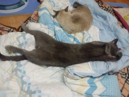 [라온이의 15번째 생일! 15년 압축 돌아보기]_46.webp