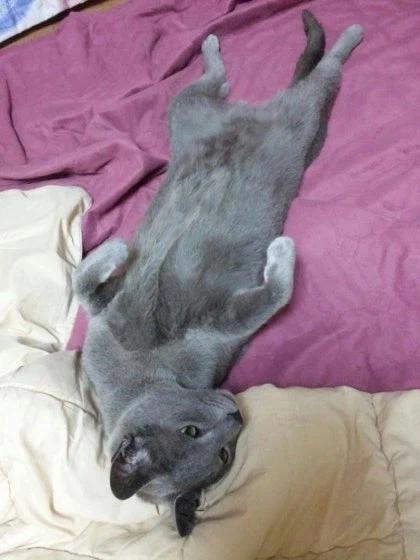 [라온이의 15번째 생일! 15년 압축 돌아보기]_53.webp