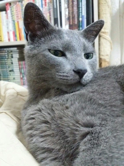 [라온이의 15번째 생일! 15년 압축 돌아보기]_76.webp