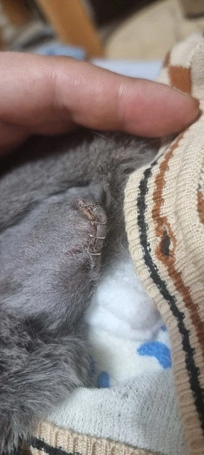 [라온이의 15번째 생일! 15년 압축 돌아보기]_101.webp