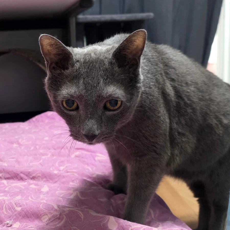 [라온이의 15번째 생일! 15년 압축 돌아보기]_118.webp