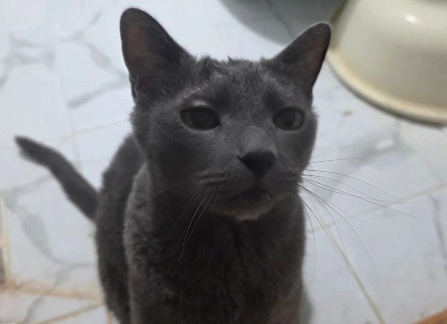 [라온이의 15번째 생일! 15년 압축 돌아보기]_125.webp