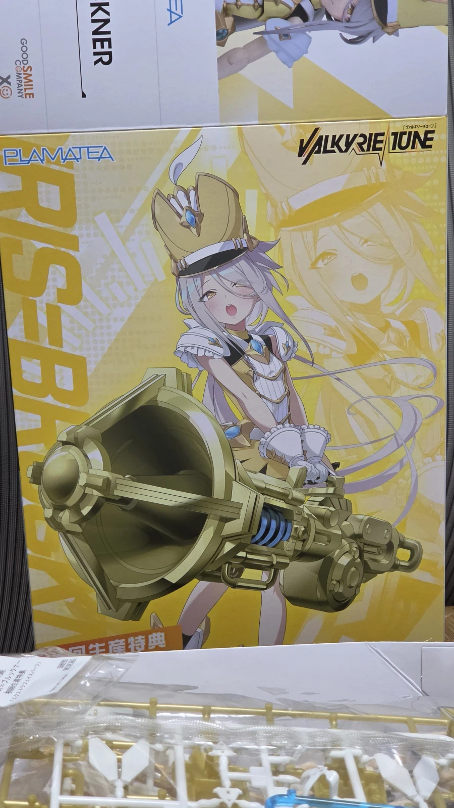 발키리튠 두번째 애가 왔네요_1.webp