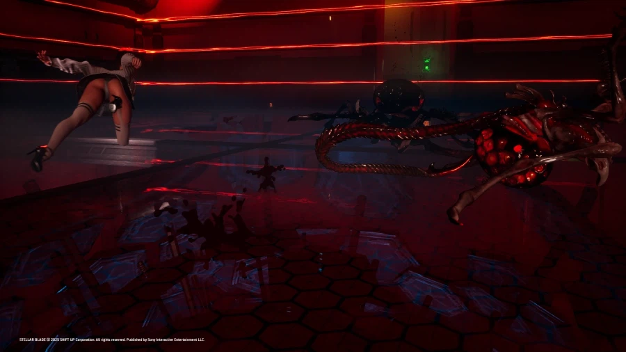 오늘의 게임 촬영입니다._4.webp