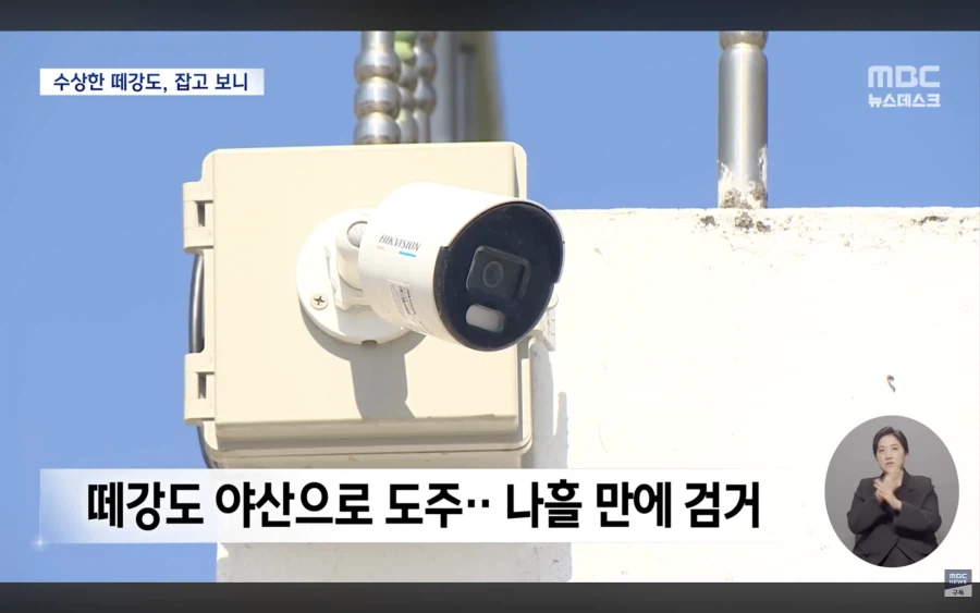 한국어 어눌한척 하면서 강도짓_6.webp