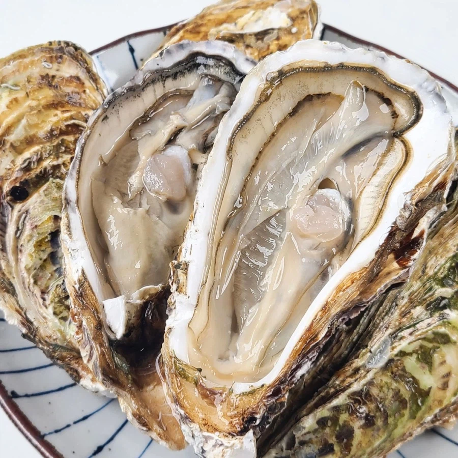 맛있게 먹는 방법 많은데 사람들이 굳이 도박하는 것_4.webp