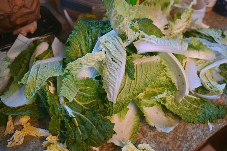 대충 해묵는 봄동무침과 삼겹살구이;ㅎ_1.webp