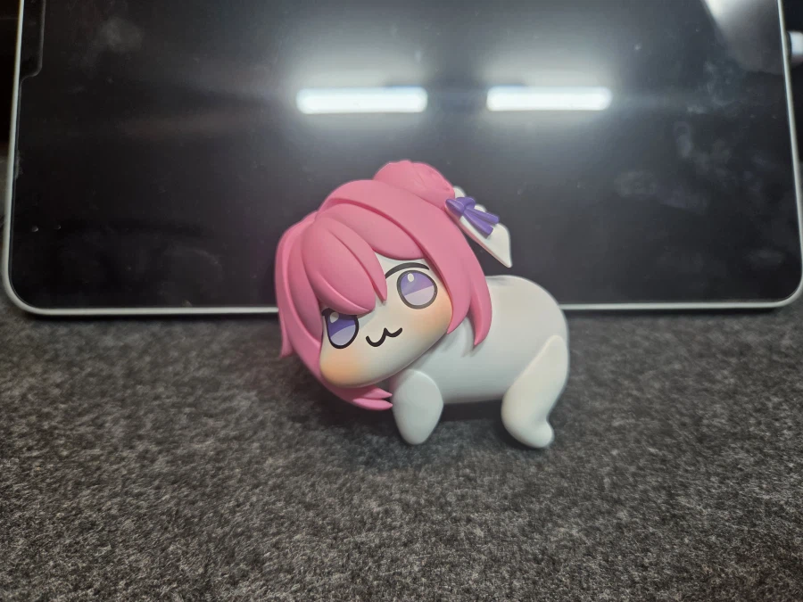 데스크를 점령한 도로롱_6.webp