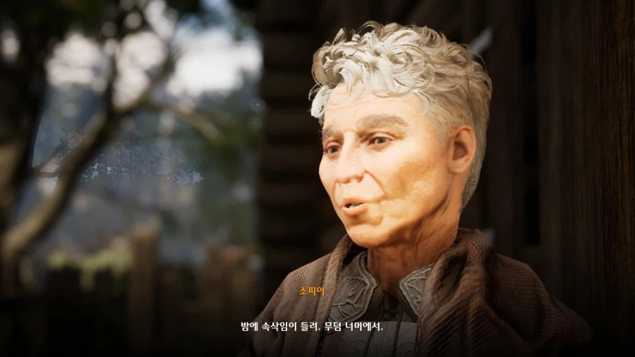 3장 자유 영지_21.webp