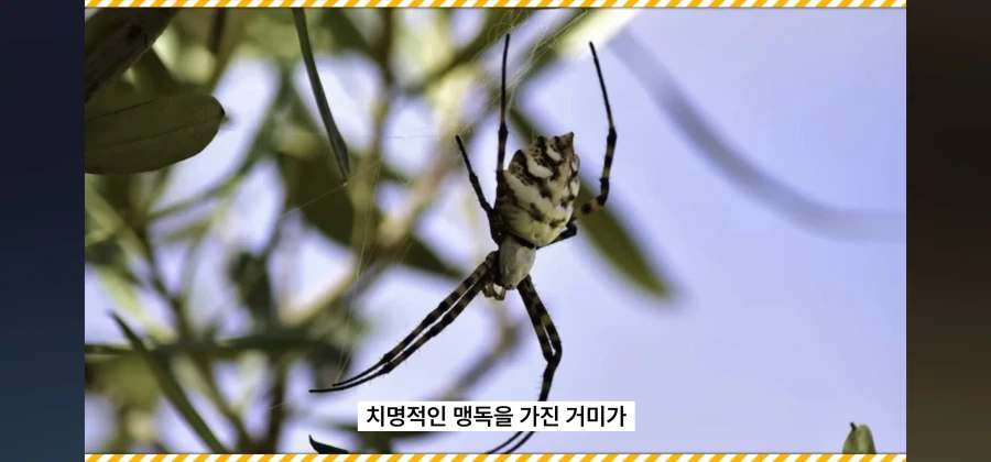 아동명작 애니메이션이 호주에서 검열당한이유_18.webp