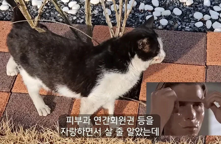 30대에 가능한 자랑.jpg_4.webp