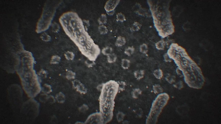 [Fate/strange Fake] 존나 압도적이던 페일 라이더의 강림_6.webp