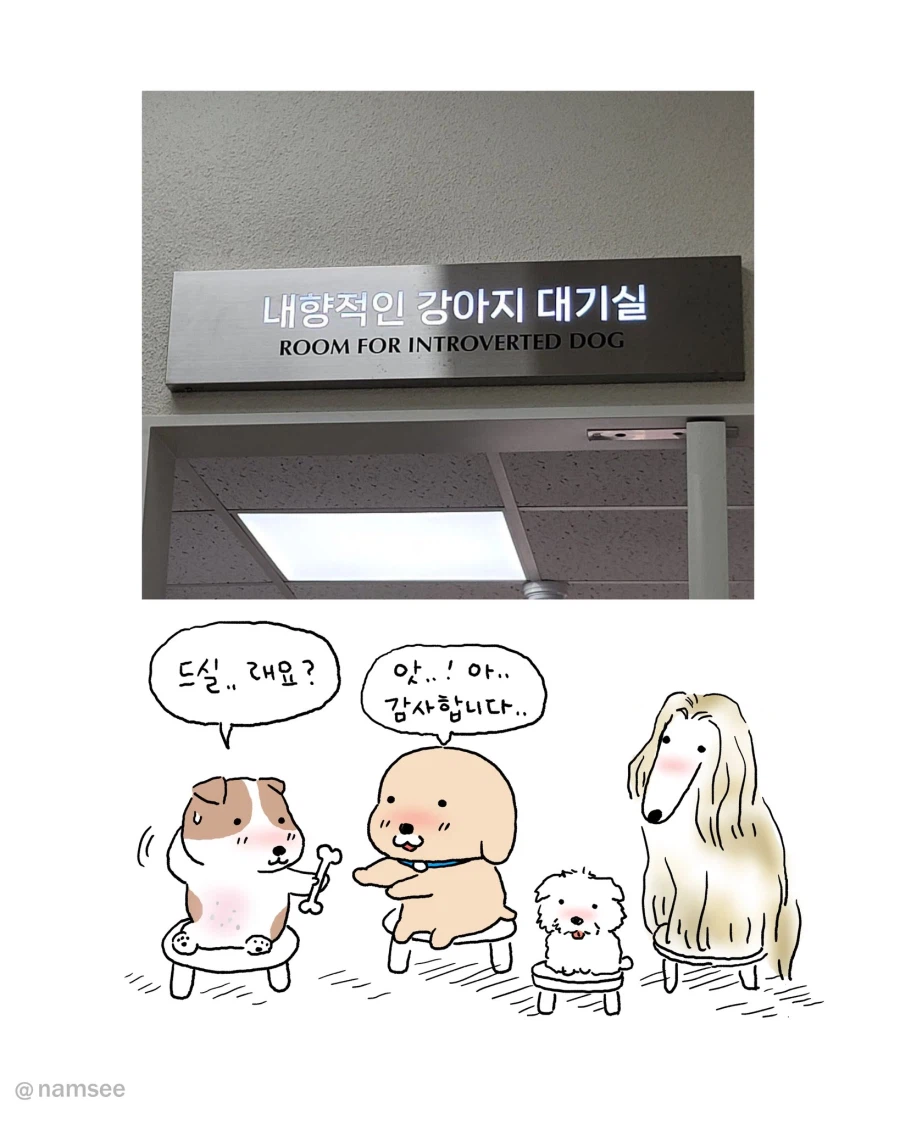 [만화] 강아지 대기실과 고양이 대기실_1.webp