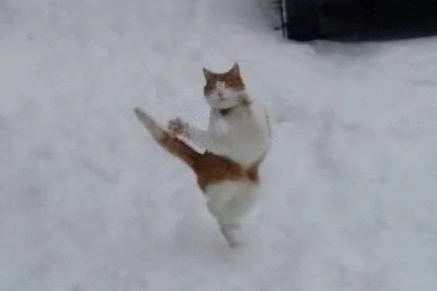 한국 괴수 영화의 시작.movie_8.webp