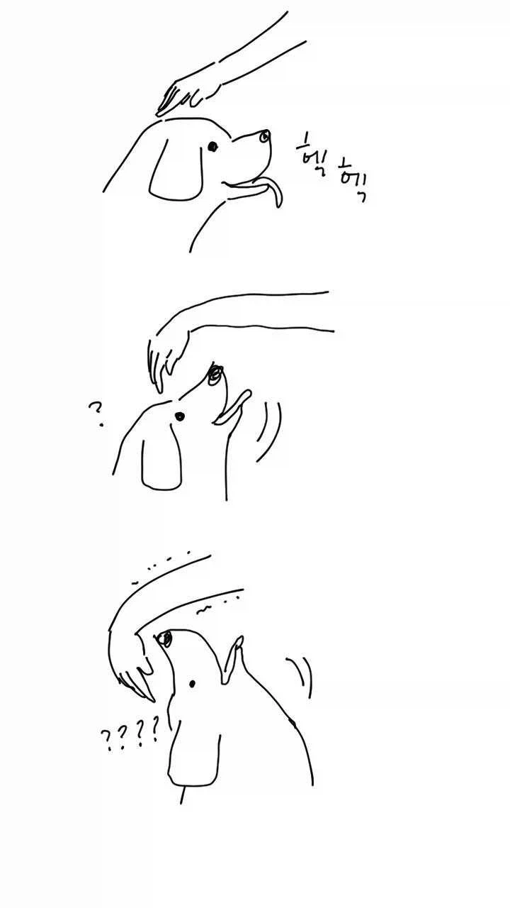 댕댕이와 야옹이의 차이_1.webp