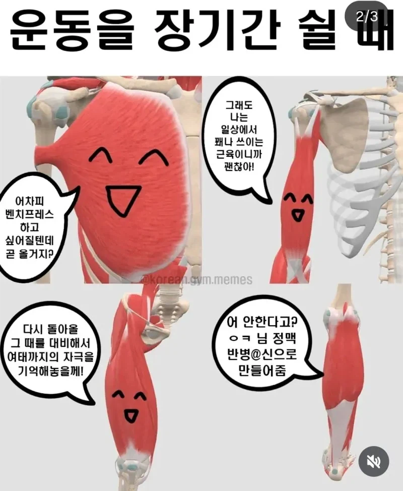 개씹상남자 신체부위_2.webp