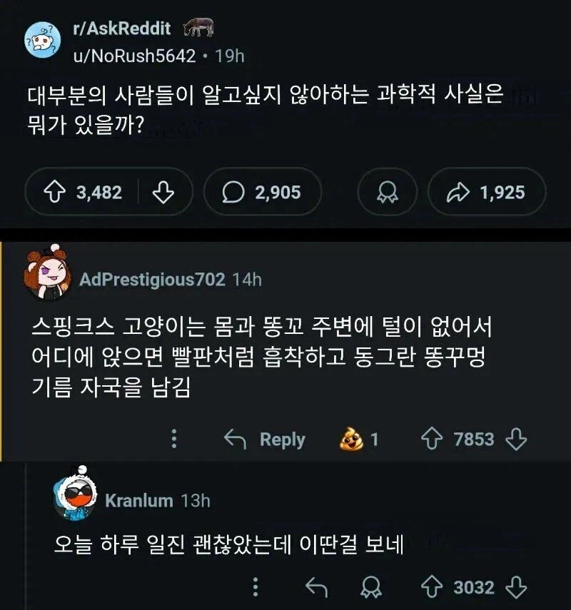 유게이들이 알고 싶어하는 과학적 사실_1.webp