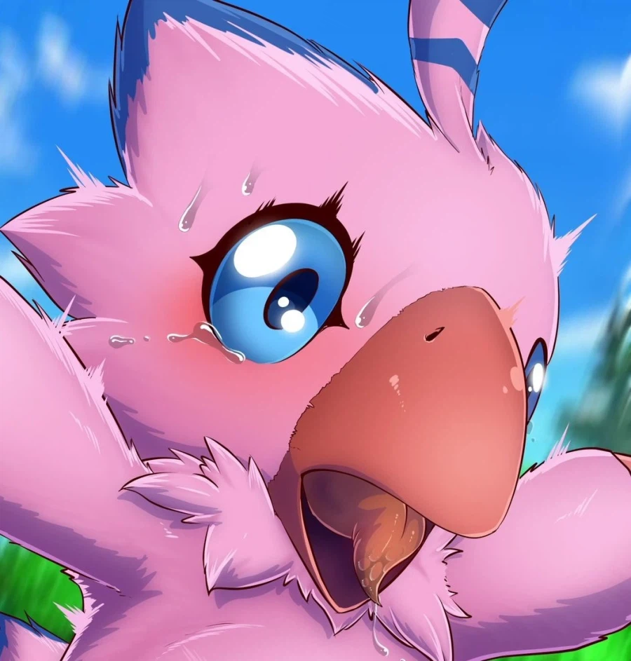 디마 점핑한다는데 워그만 받을까_1.webp