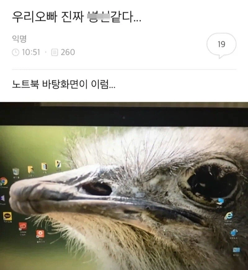 우리오빠 진짜 ㅂㅅ같다..._1.webp