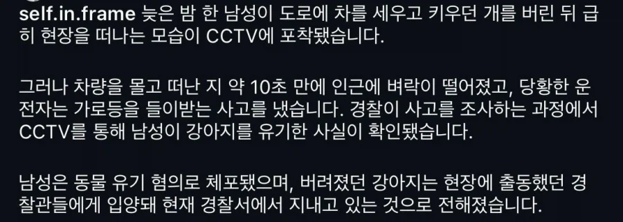 강아지 버린 주인 그 순간 날벼락 맞아_2.webp