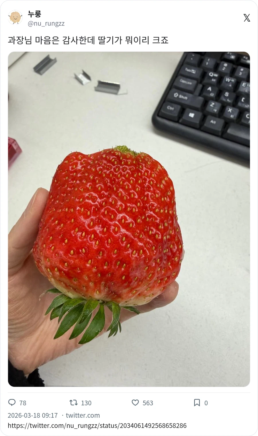 과장님이 하사한 딸기_1.webp