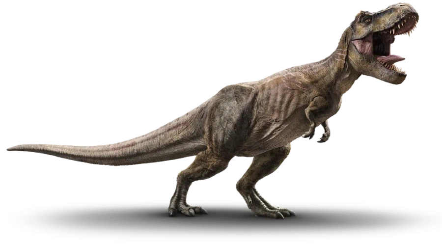 좋아하는 공룡별 애들 성격_1.webp