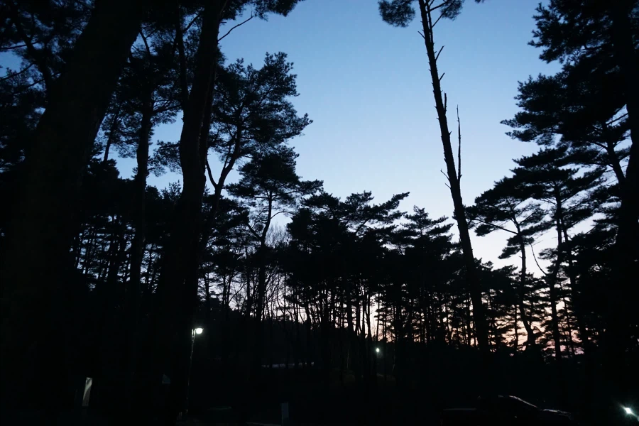 추위에서 돌아온 아재의 혼술_10.webp