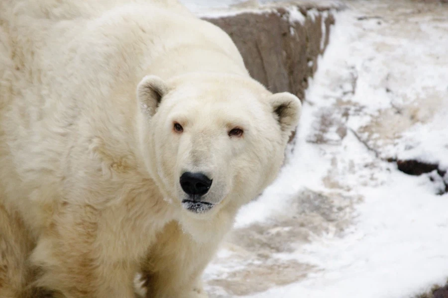 아이온2) 가슴 만지는법 알아냄_4.webp