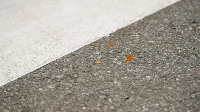 [가면라이더 젯츠] 백주대낮에 남녀가 으슥한 곳으로...(아님)_3.webp