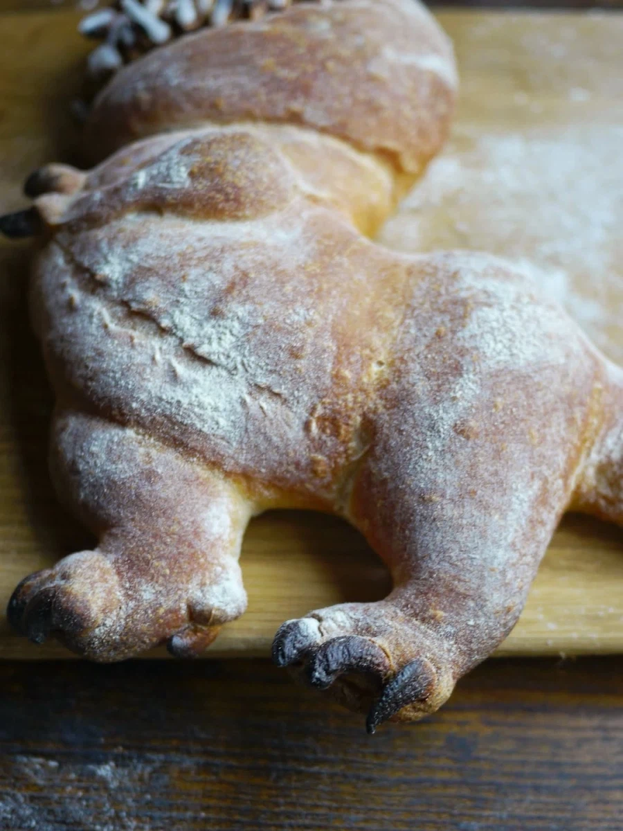 공룡빵 만든 사람..._5.webp