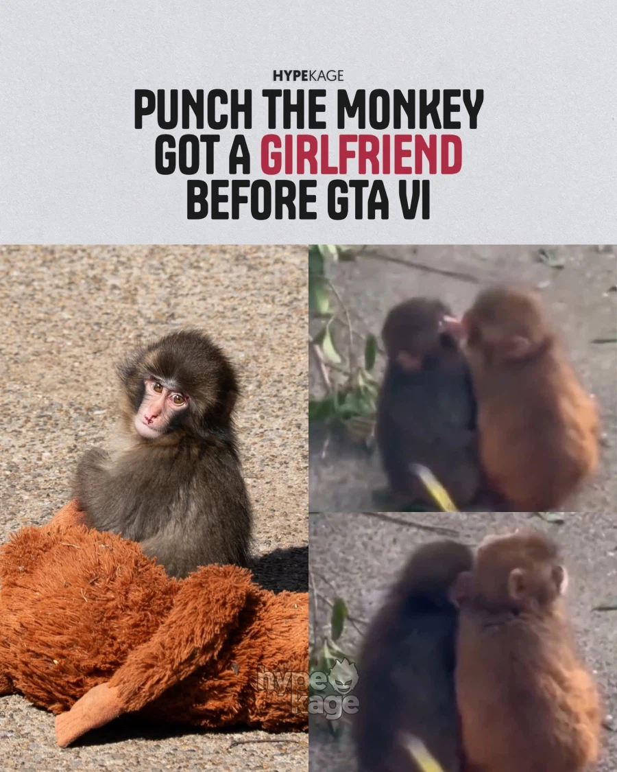 인형이랑 떡치던 미성년자 원숭이 근황_1.webp