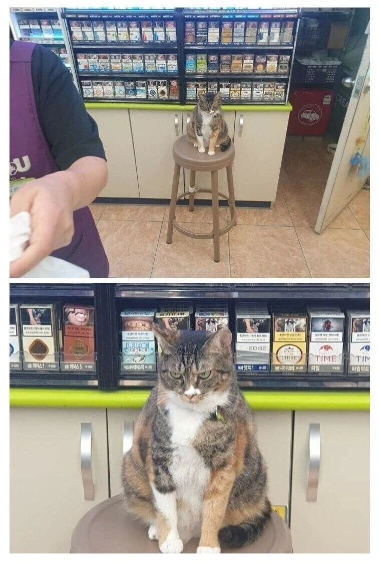 "다행이야, 아직 점장님은 안오셨나봐"_1.webp