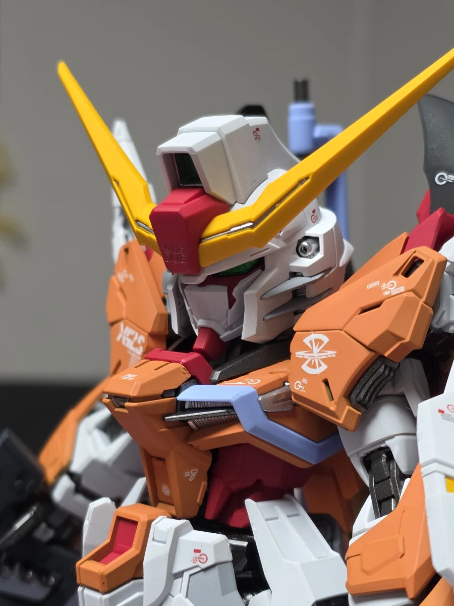 Mgsd 데스티니 ver.하이네 완성 ^^_6.webp