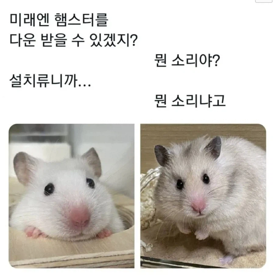 설치류의 미래_1.webp