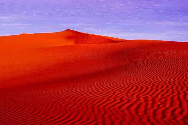 붉은사막) 지금 붉은사막 무시하는 애들은 이걸 보라_4.webp