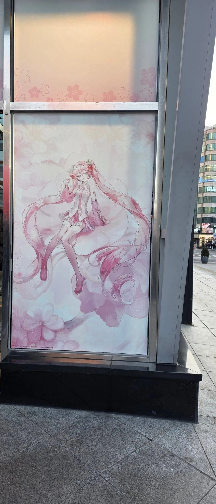 미쿠)오와콘 특징_4.webp