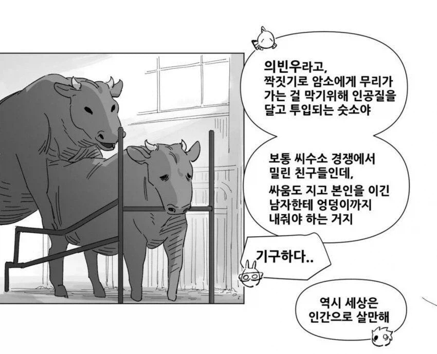 수컷 경쟁에서 밀려서 후1장을 따1먹히는 의빈우.jpg_2.webp