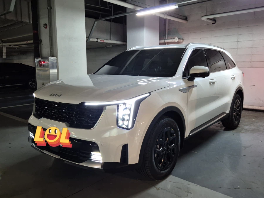 4년만에ㅠ 쏘하브로 차변했습니다_3.webp