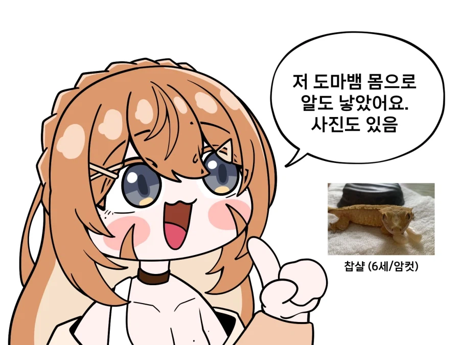 놀라운 버튜버의 세계_2.webp