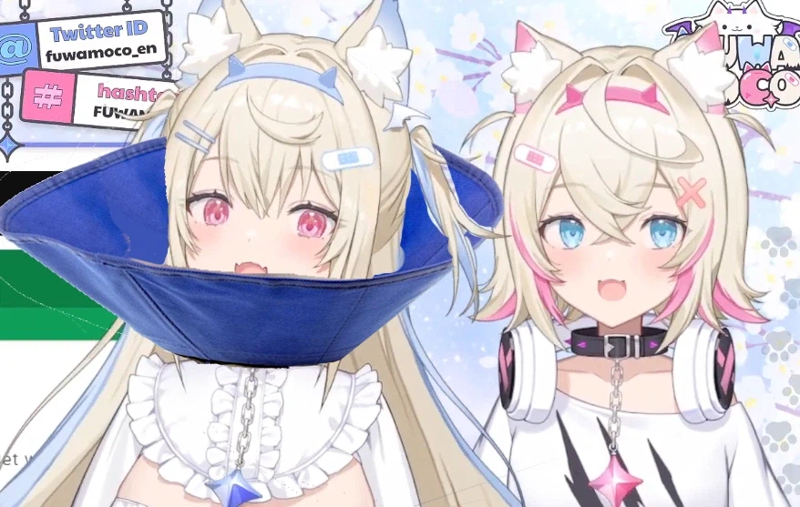 버튜버)후와와 입원한다니까 나오는 짤들_2.webp