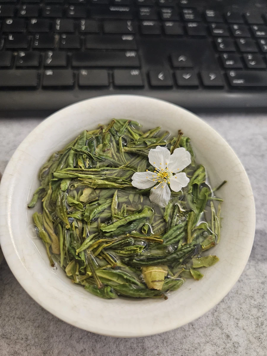 딸쓰가 꽃을 가져댜줬어요_1.webp