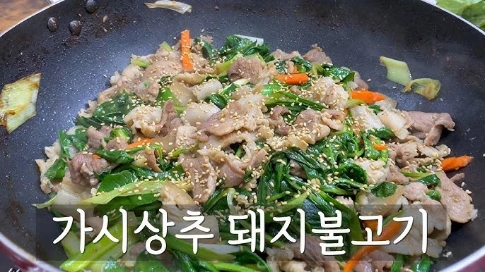 가시상추 한국 적응기_5.webp