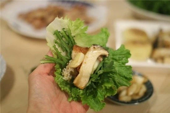 가시상추 한국 적응기_9.webp