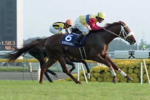 말딸)드디어 사이게에게 구원받은 원본마_1.webp