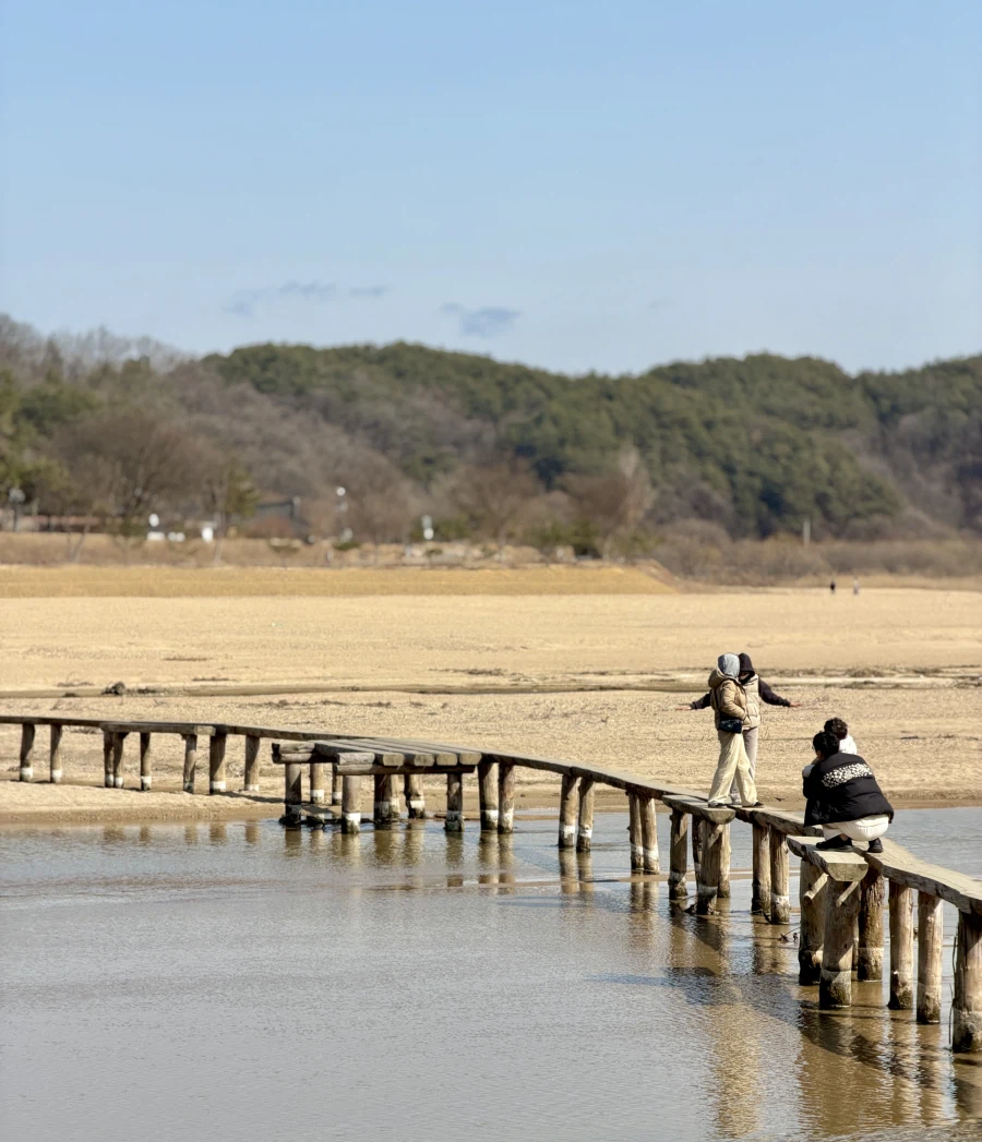 영주 무섬마을_1.webp