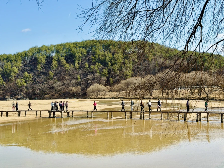 영주 무섬마을_4.webp