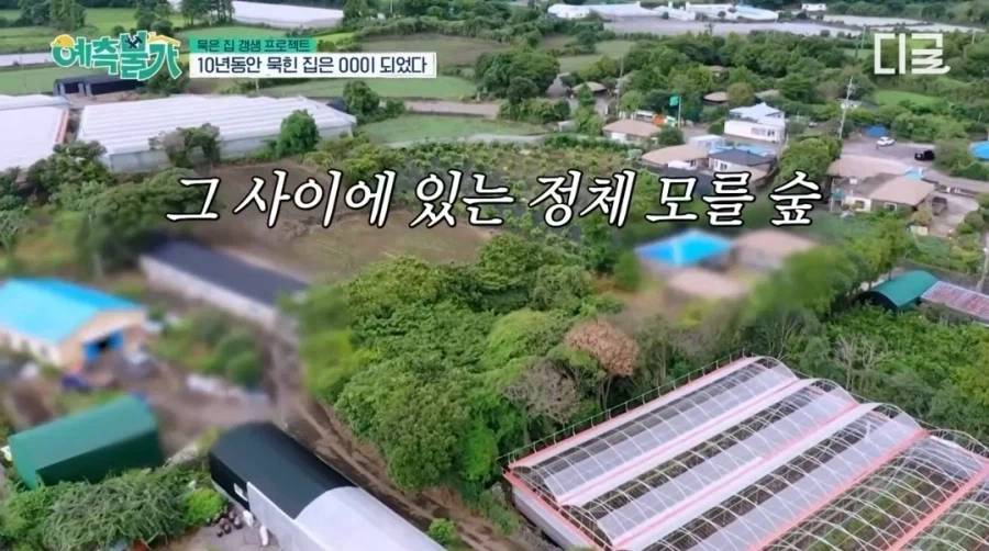 십년 넘게 방치된 김숙 제주도 폐가 ㅁㅊ 상황ㅋㅋㅋ_1.webp