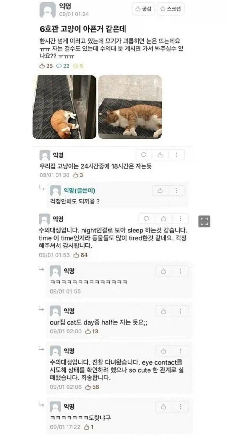 수의대생분들 좀 도와주실 수 있나요?.jpg_1.webp