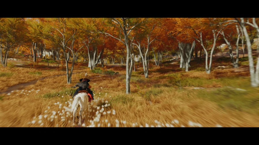 고스트 오브 요테이_14.webp